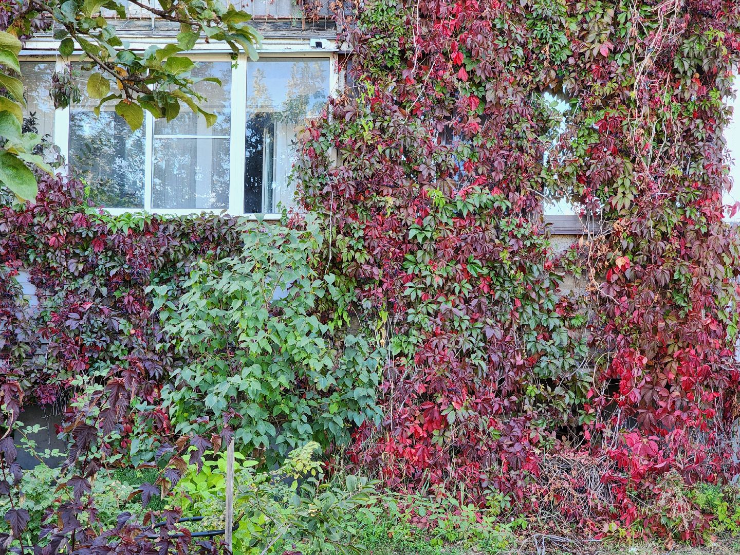 благоустройство дворовых территорий, комплексное благоустройство, комфортная городская среда, старая купавна, богородский городской округ,