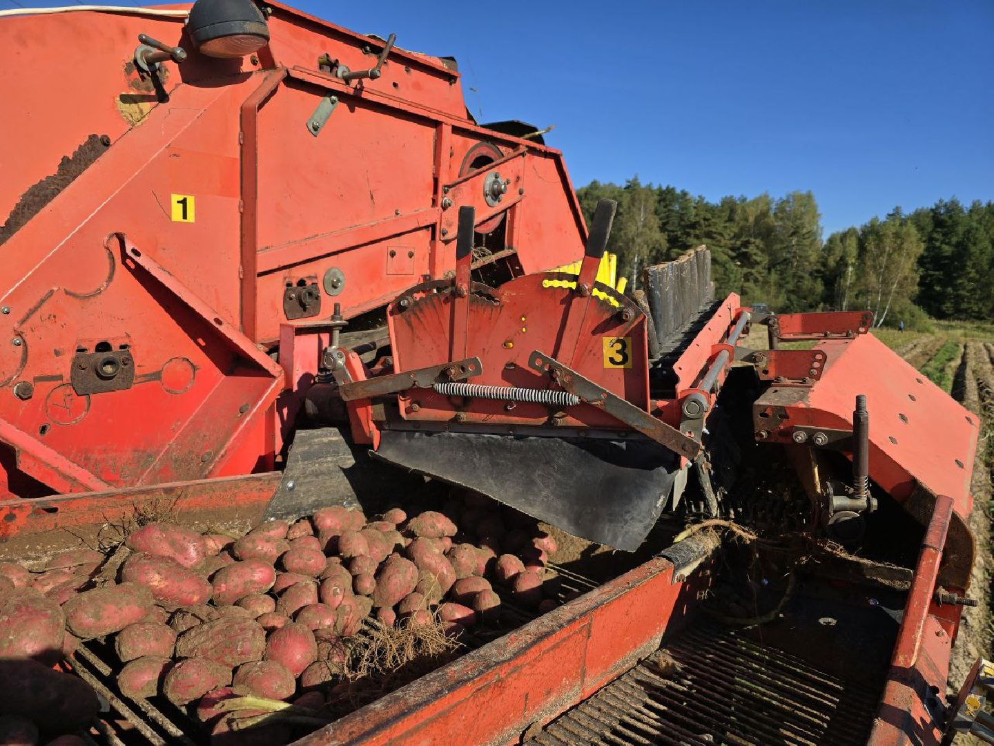 можайск, можайский муниципальный округ, подмосковье, сельское хозяйство, сбор урожая, овощи, уборка картофеля, фермерское хозяйство,