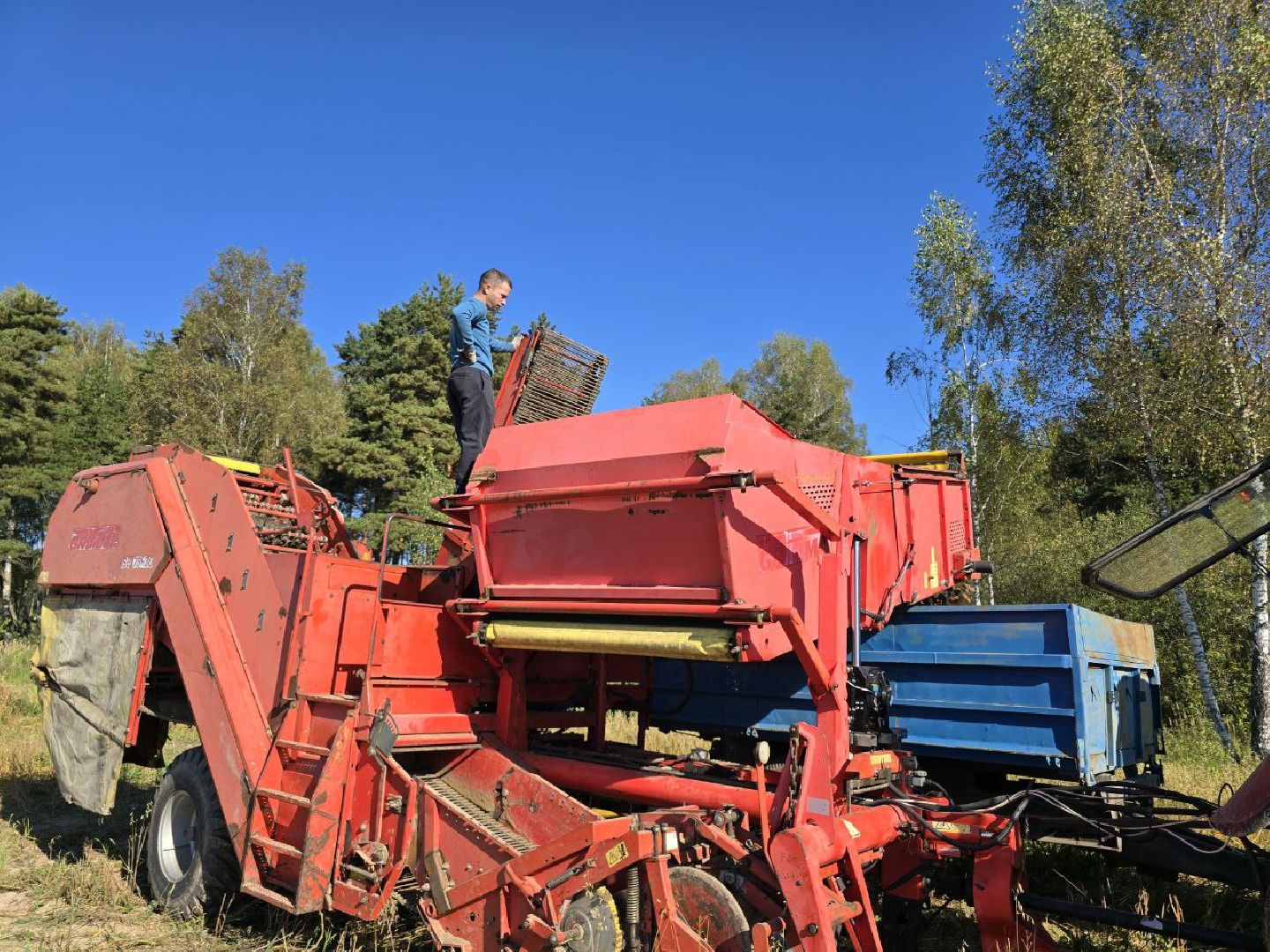 можайск, можайский муниципальный округ, подмосковье, сельское хозяйство, сбор урожая, овощи, уборка картофеля, фермерское хозяйство,