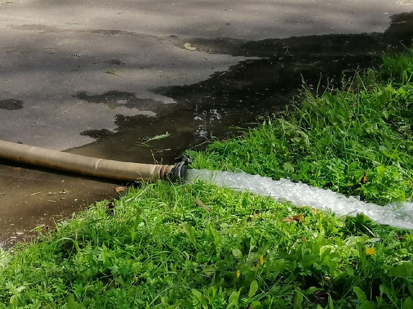 городской округ восход, жкх, благоустройство, пожарный гидрант,