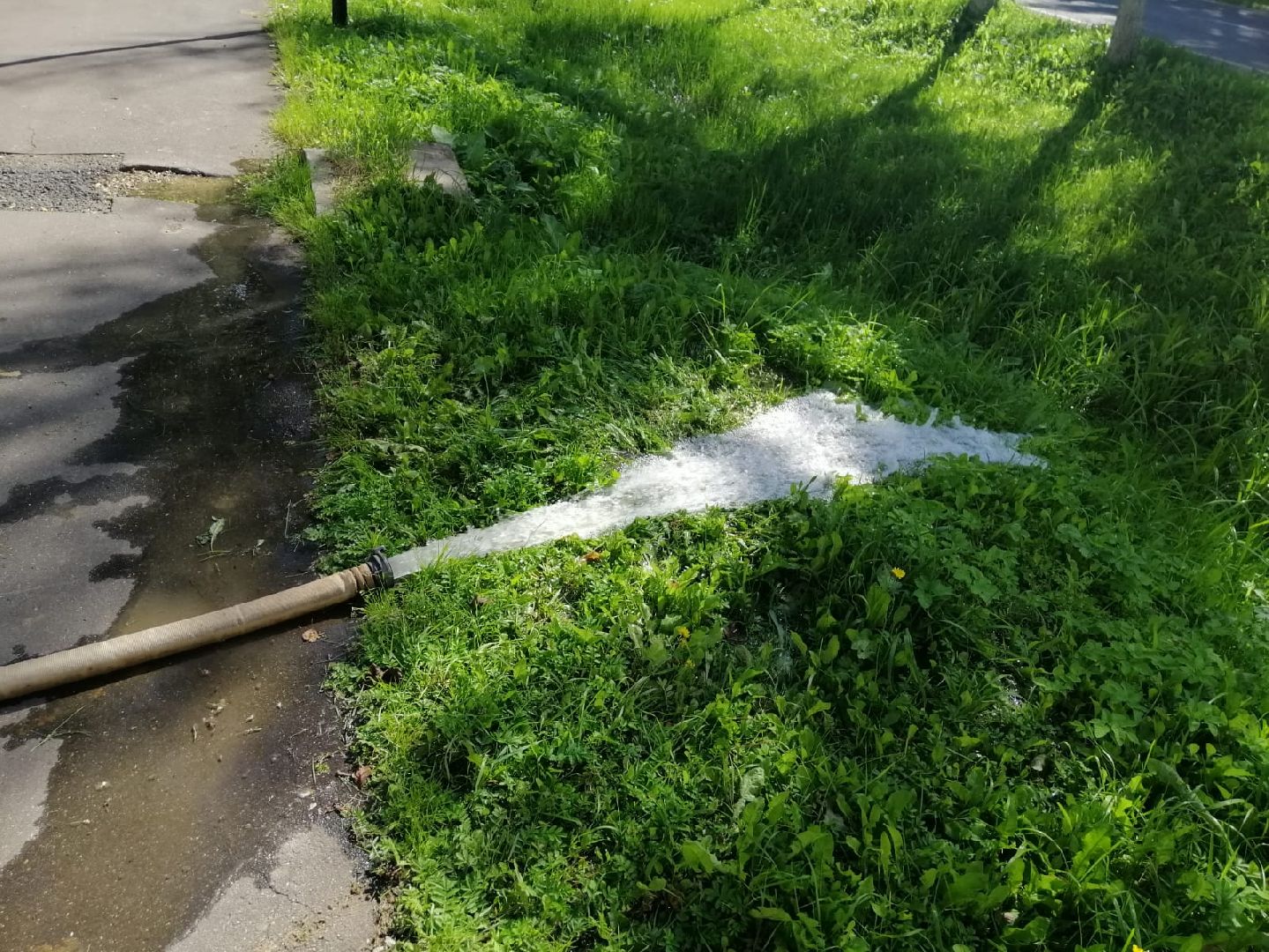 городской округ восход, жкх, благоустройство, пожарный гидрант,