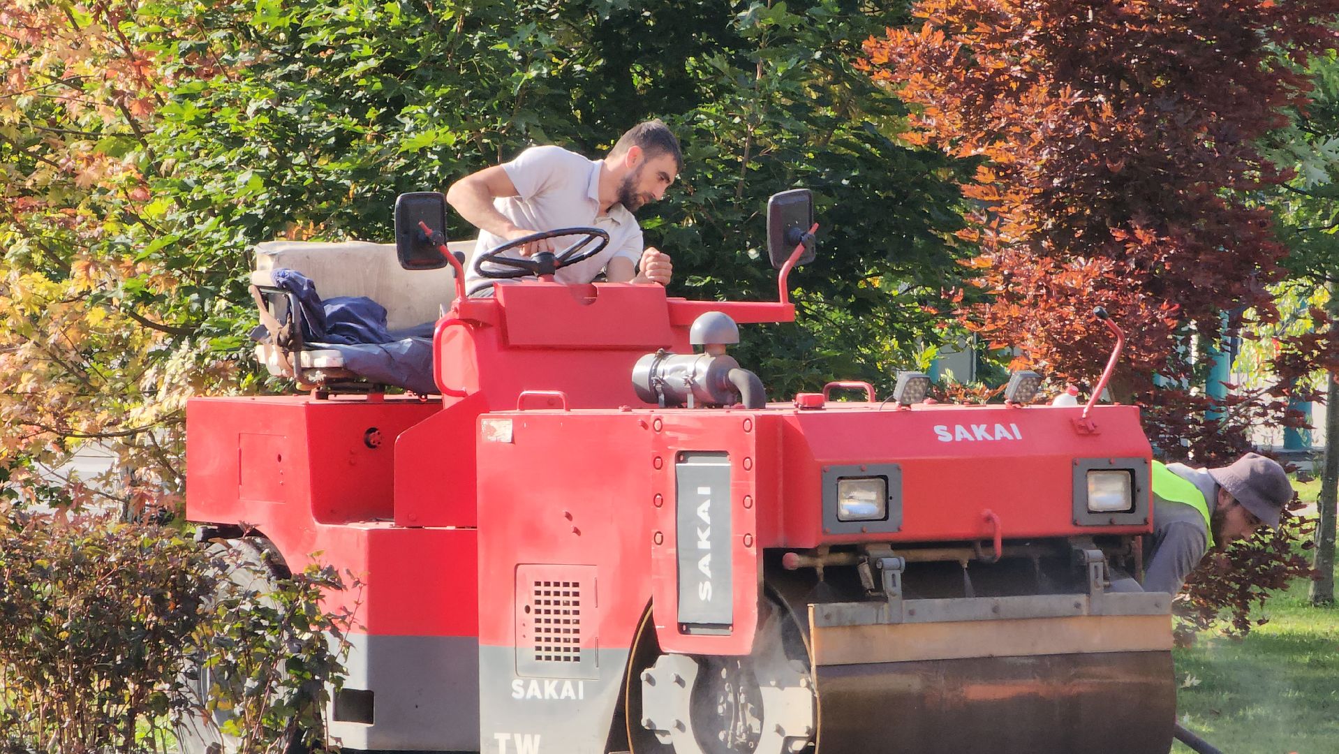 Асфальтирование , пешеходные дорожки и тропинки, Лобня , Парк,