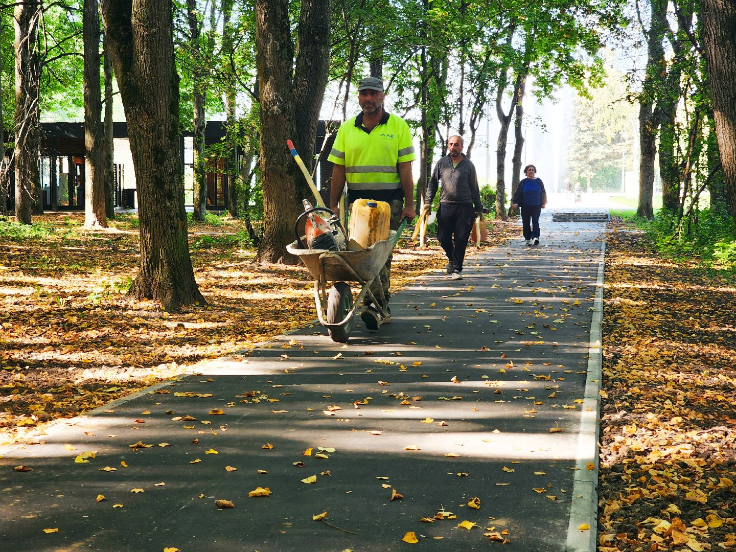 дороги, благоустройство, серпухов, пущино, народные тропы,