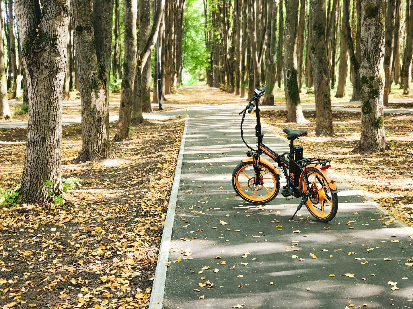 дороги, благоустройство, серпухов, пущино, народные тропы,