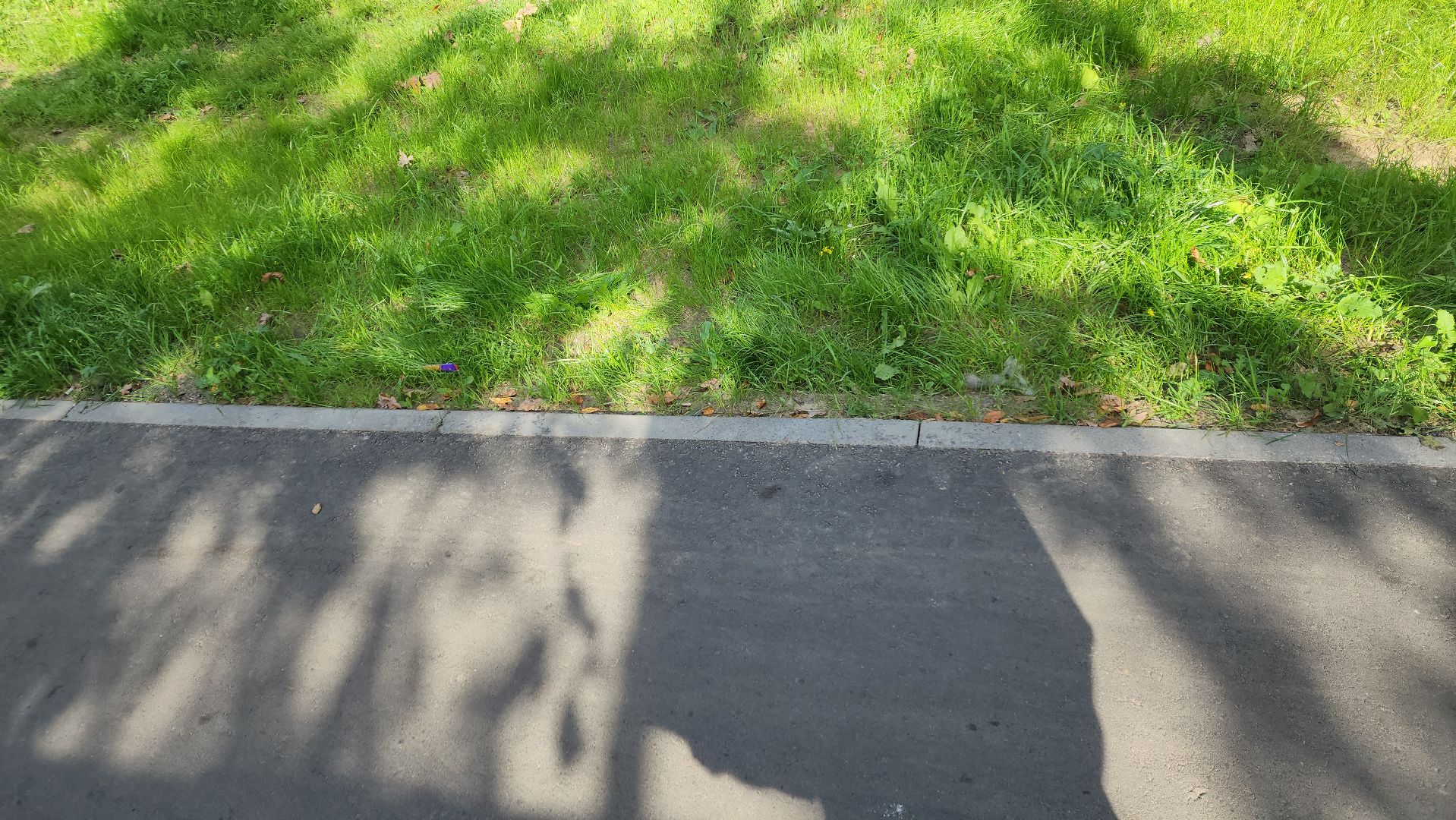 пушкино, народная тропа, пешком в подмосковье,асфальтирование,новый тротуар,комфортная среда,сквер,