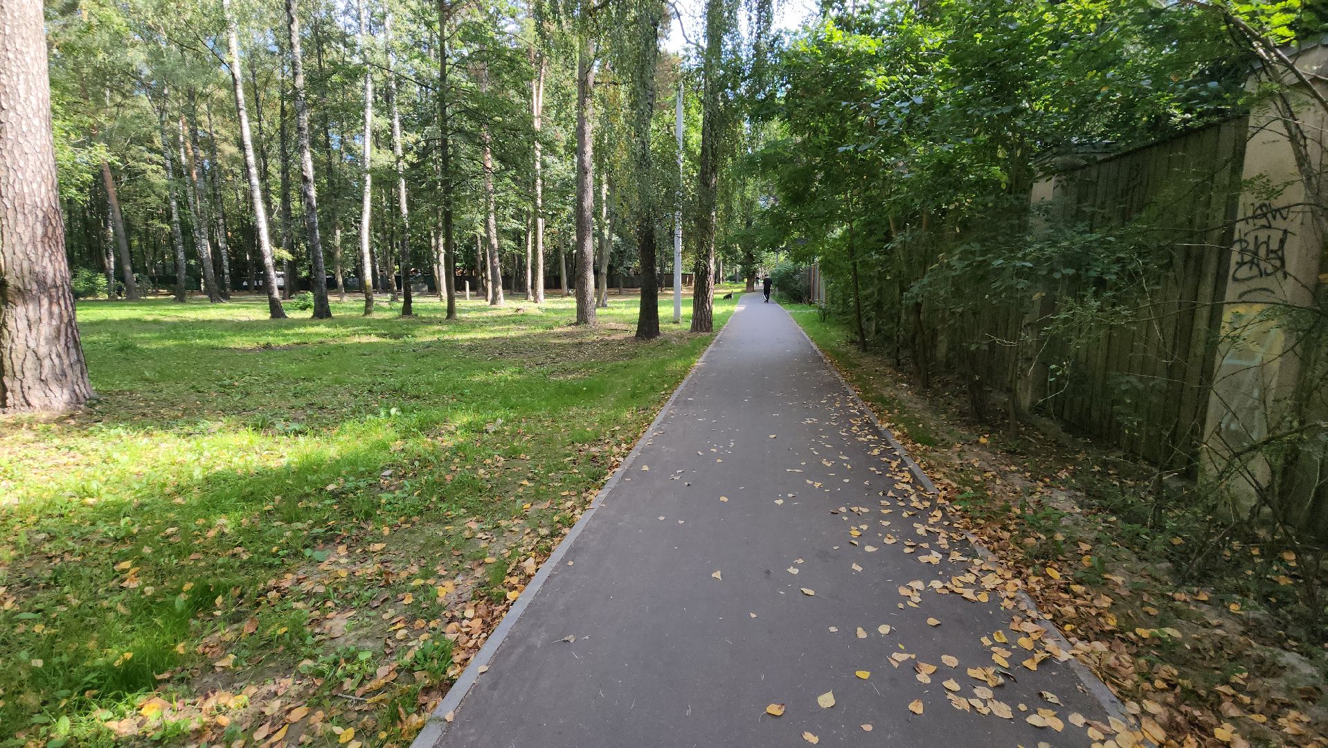 пушкино, народная тропа, пешком в подмосковье,асфальтирование,новый тротуар,комфортная среда,сквер,