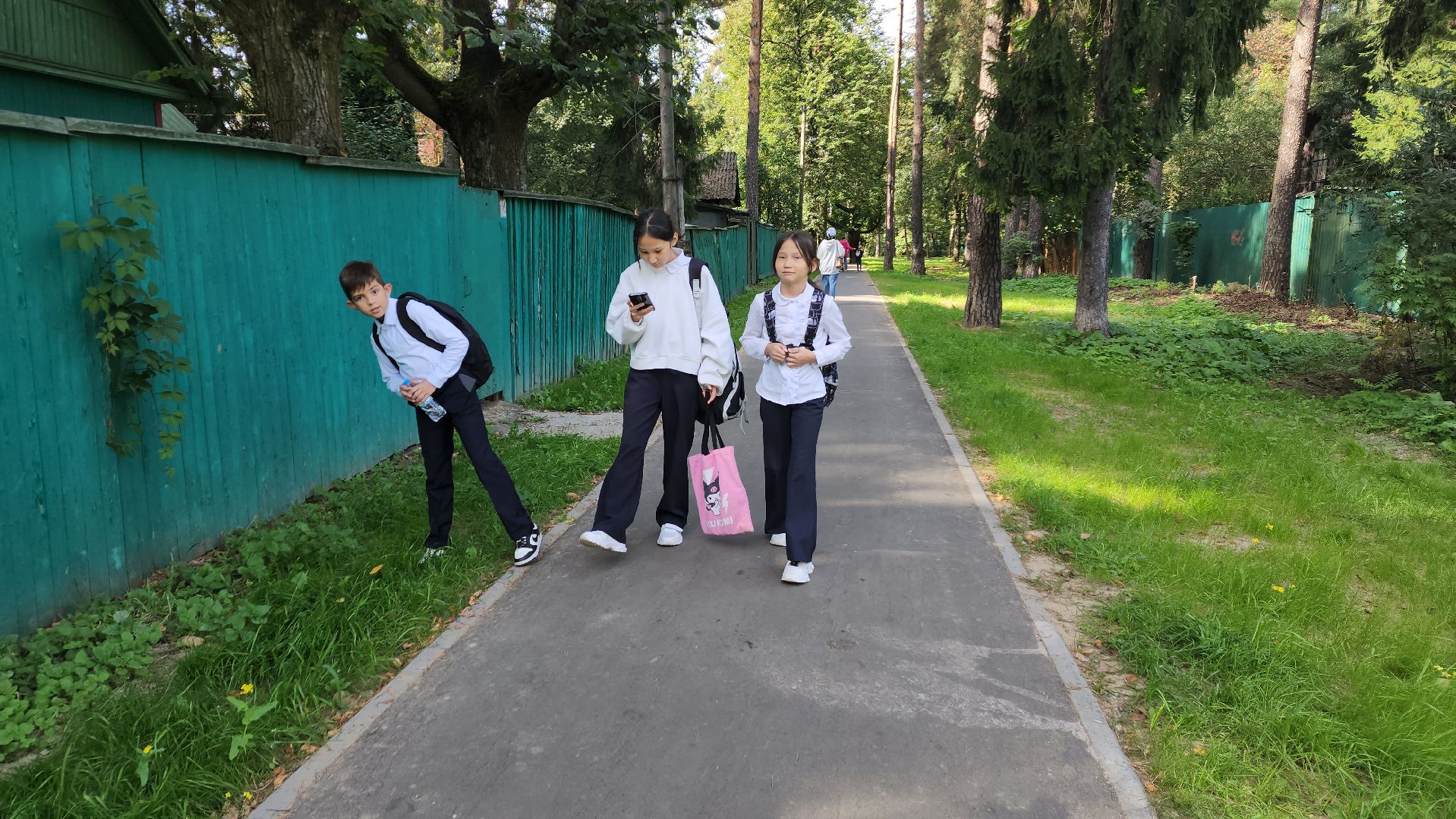 пушкино, народная тропа, пешком в подмосковье,асфальтирование,новый тротуар,комфортная среда,сквер,