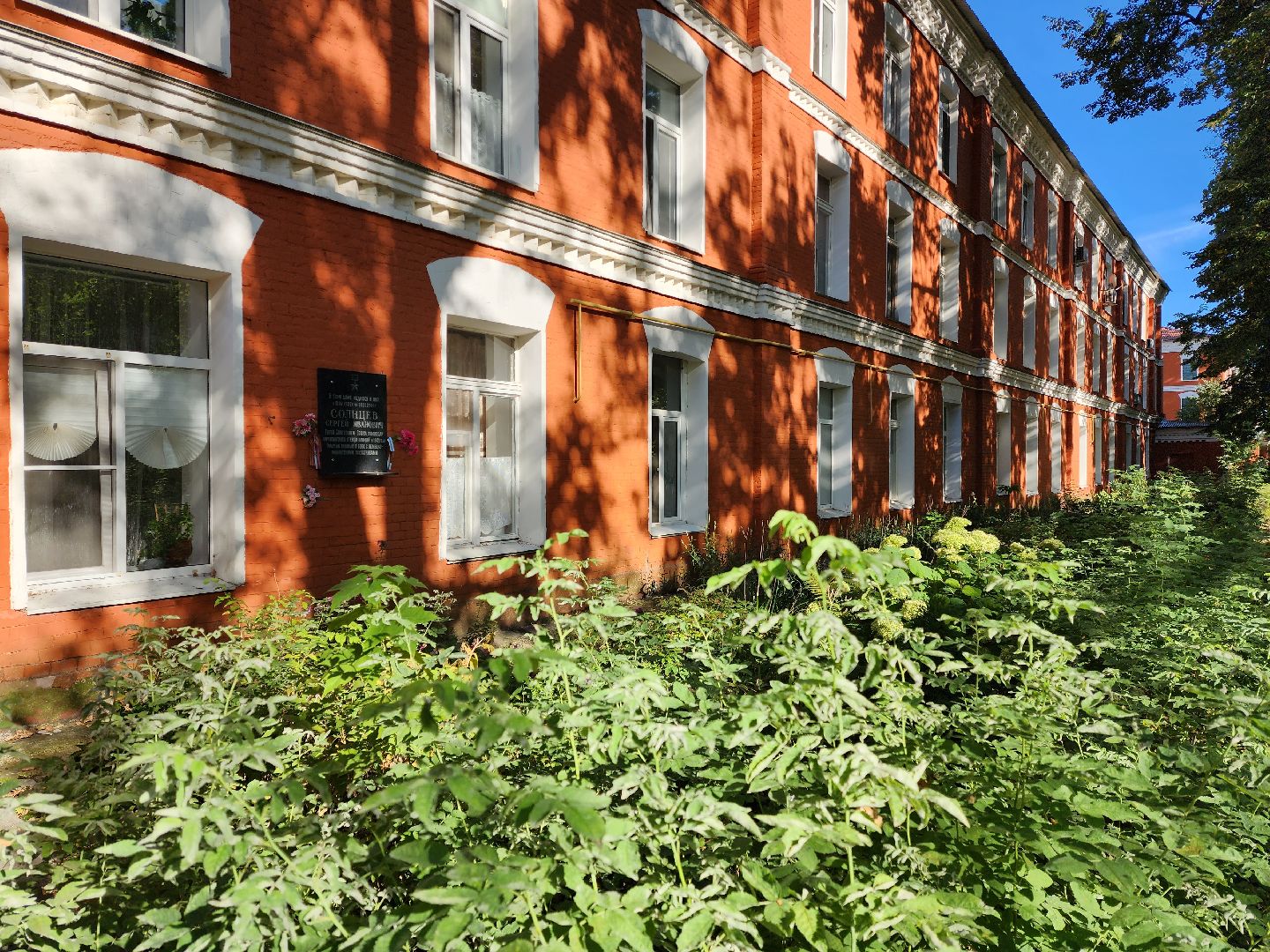 раменское, общество,  памятник сергею ивановичу солнцеву,