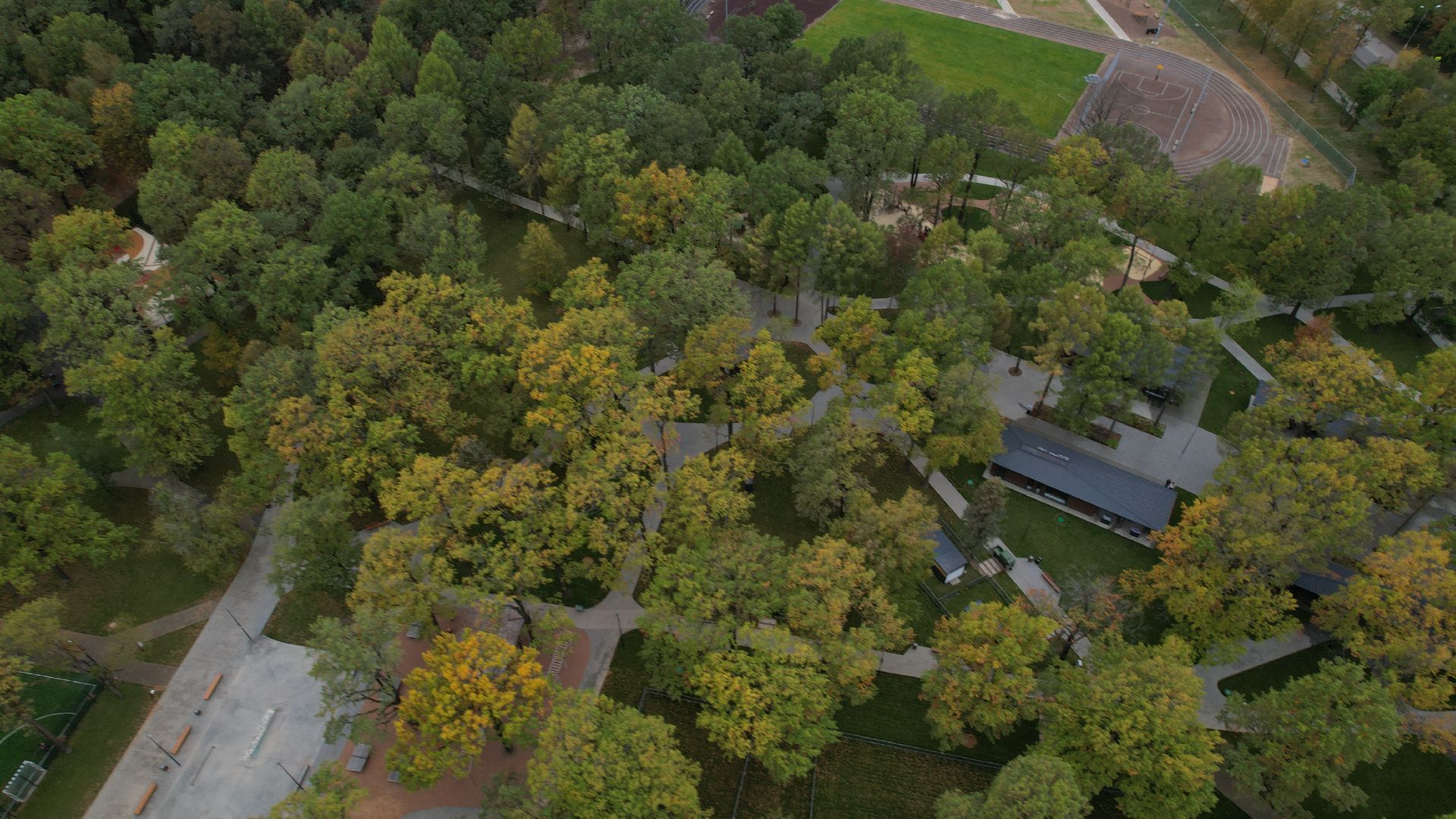 видео с коптера, лесопарк дубрава подольск, благоустройство парка подольск,