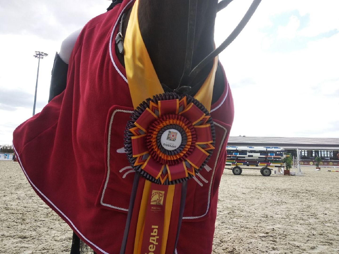 Дмитров, Кубок Победы, MAXIMA PARK