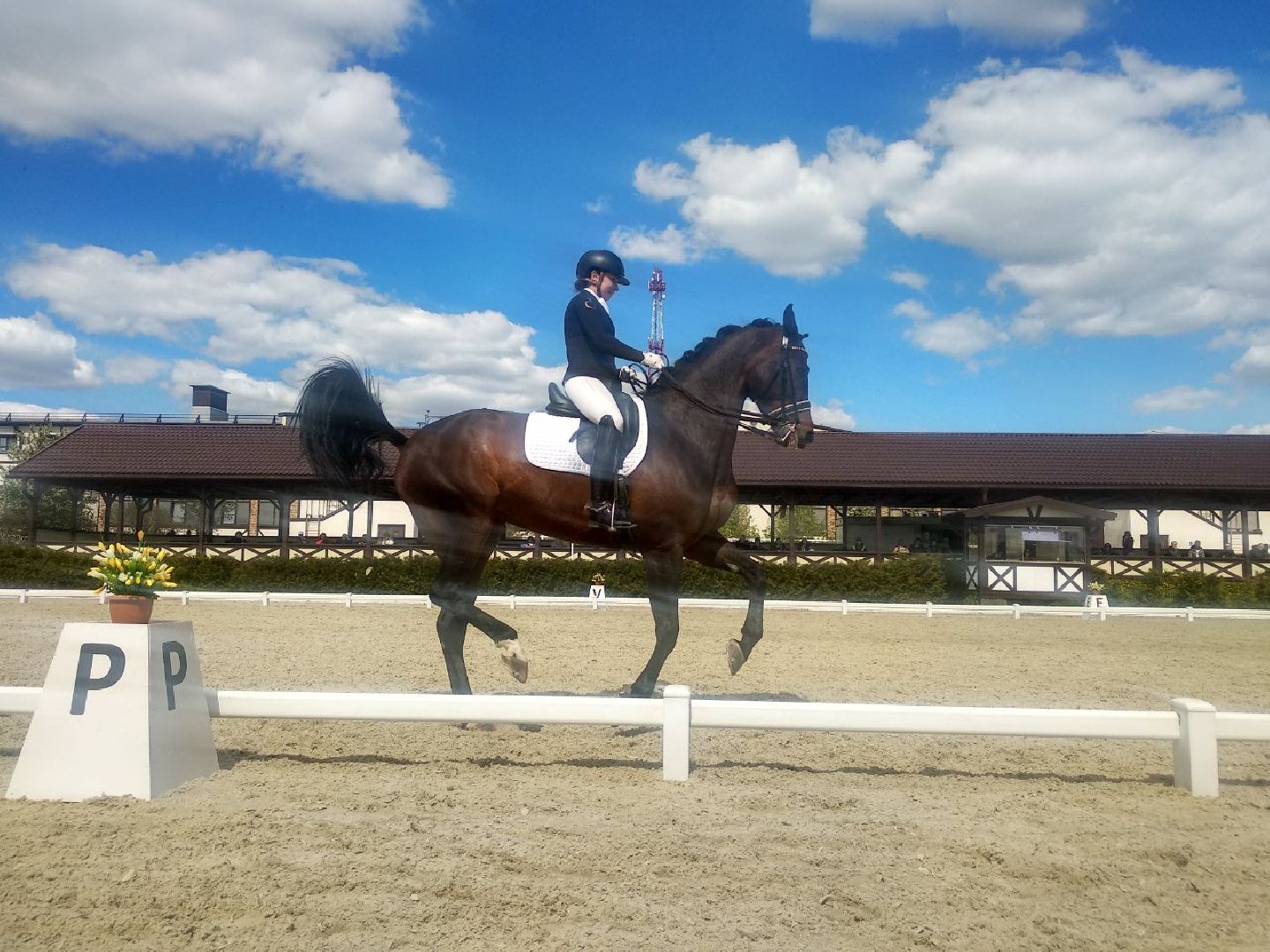 Дмитров, Кубок Победы, MAXIMA PARK