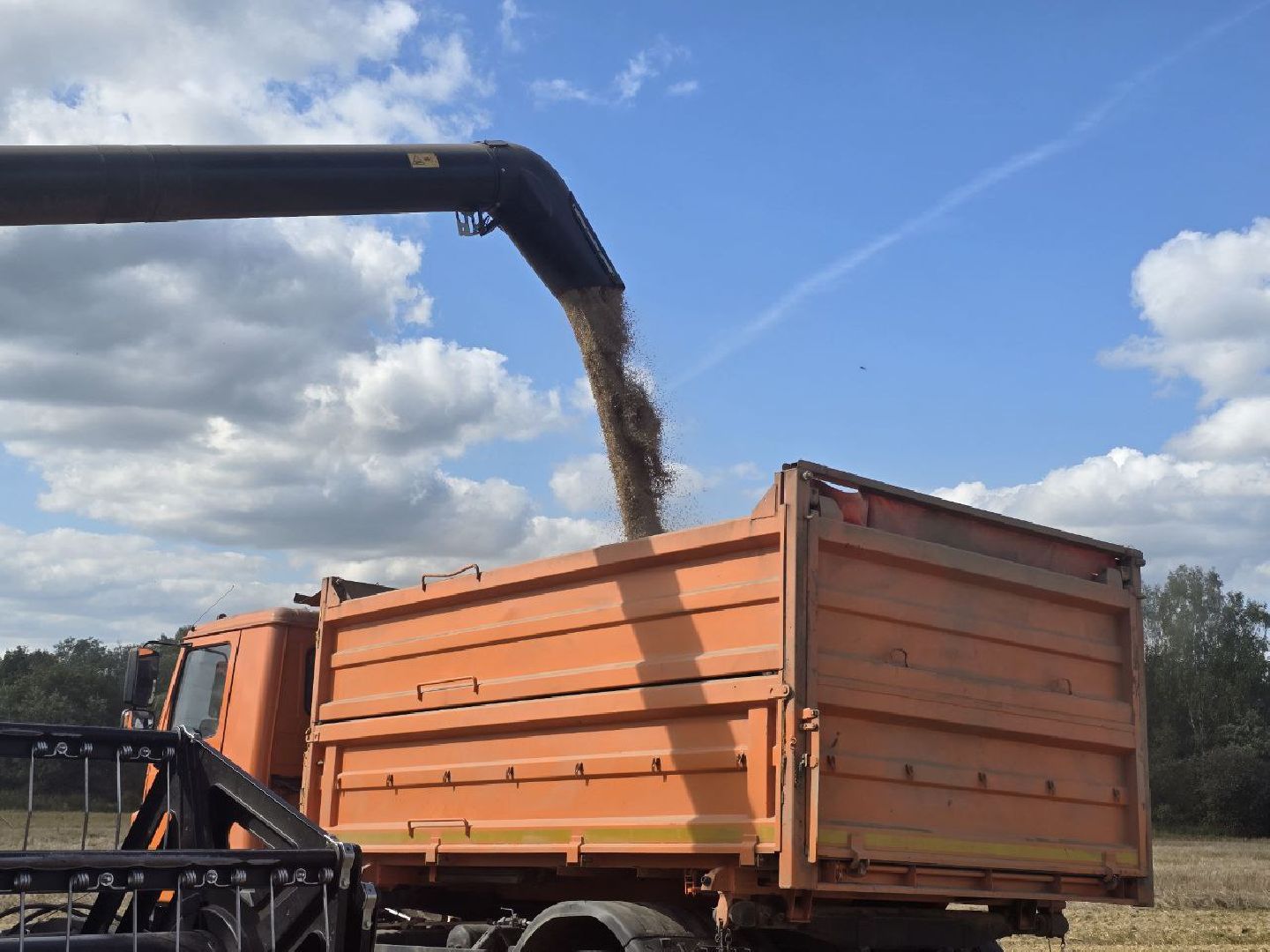 можайск, можайский муниципальный округ, подмосковье, сельское хозяйство, колхоз уваровский, уборочная кампания, сбор урожая, аграрии ,