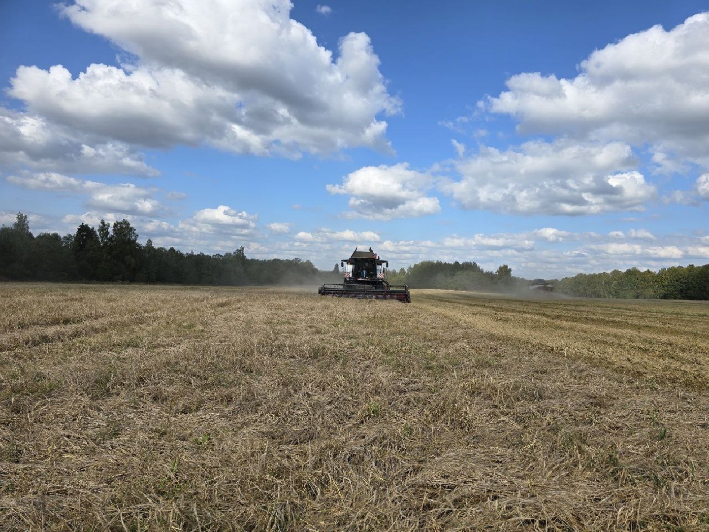 можайск, можайский муниципальный округ, подмосковье, сельское хозяйство, колхоз уваровский, уборочная кампания, сбор урожая, аграрии ,