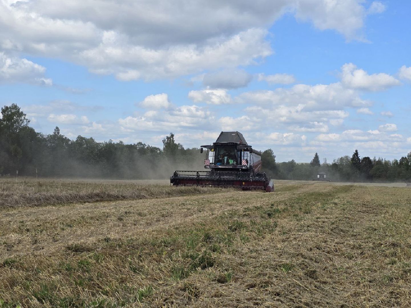 можайск, можайский муниципальный округ, подмосковье, сельское хозяйство, колхоз уваровский, уборочная кампания, сбор урожая, аграрии ,
