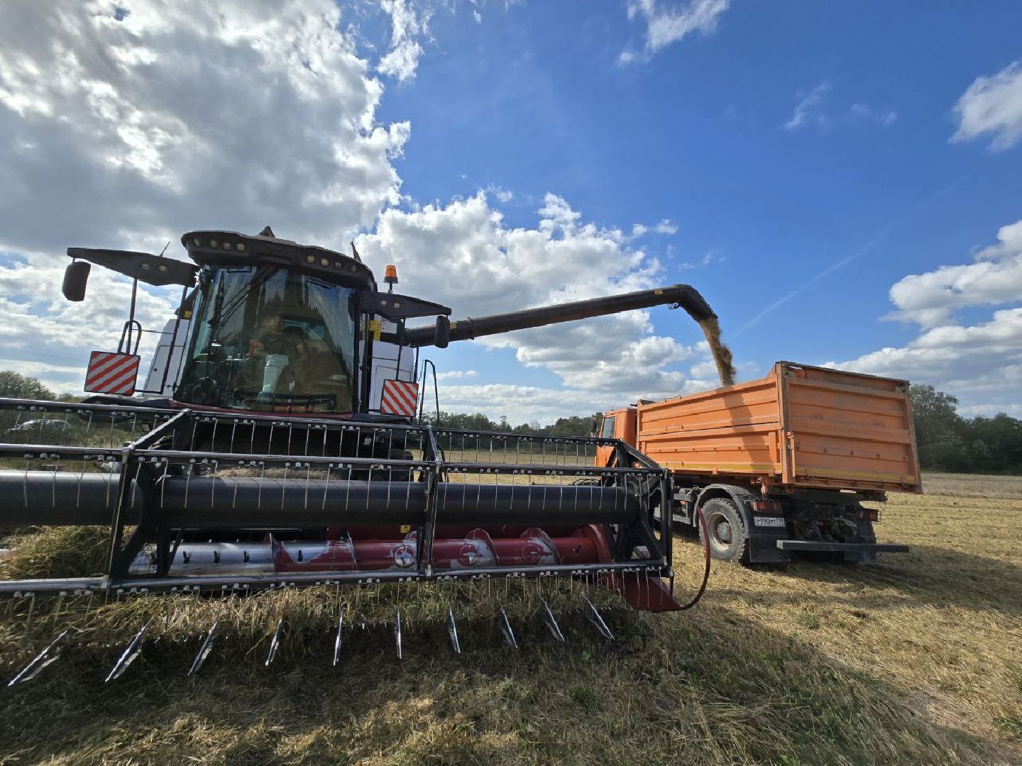 можайск, можайский муниципальный округ, подмосковье, сельское хозяйство, колхоз уваровский, уборочная кампания, сбор урожая, аграрии ,