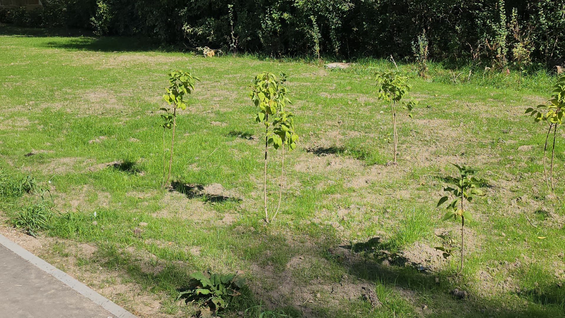серпухов, благоустройство дворов в серпухове, новые парковки в серпухове,