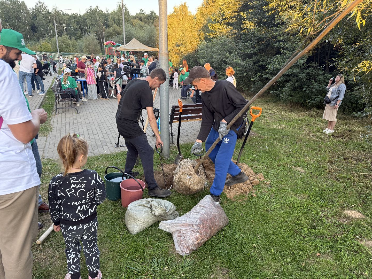 люберцы, экология, деревья, Акция, день в лесу сохраним лес вместе,