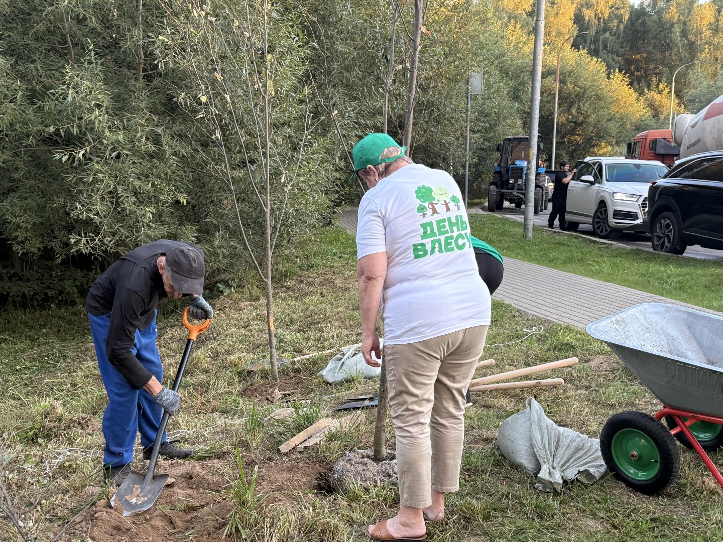 люберцы, экология, деревья, Акция, день в лесу сохраним лес вместе,