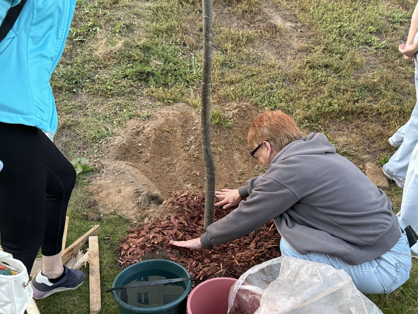 люберцы, экология, деревья, Акция, день в лесу сохраним лес вместе,