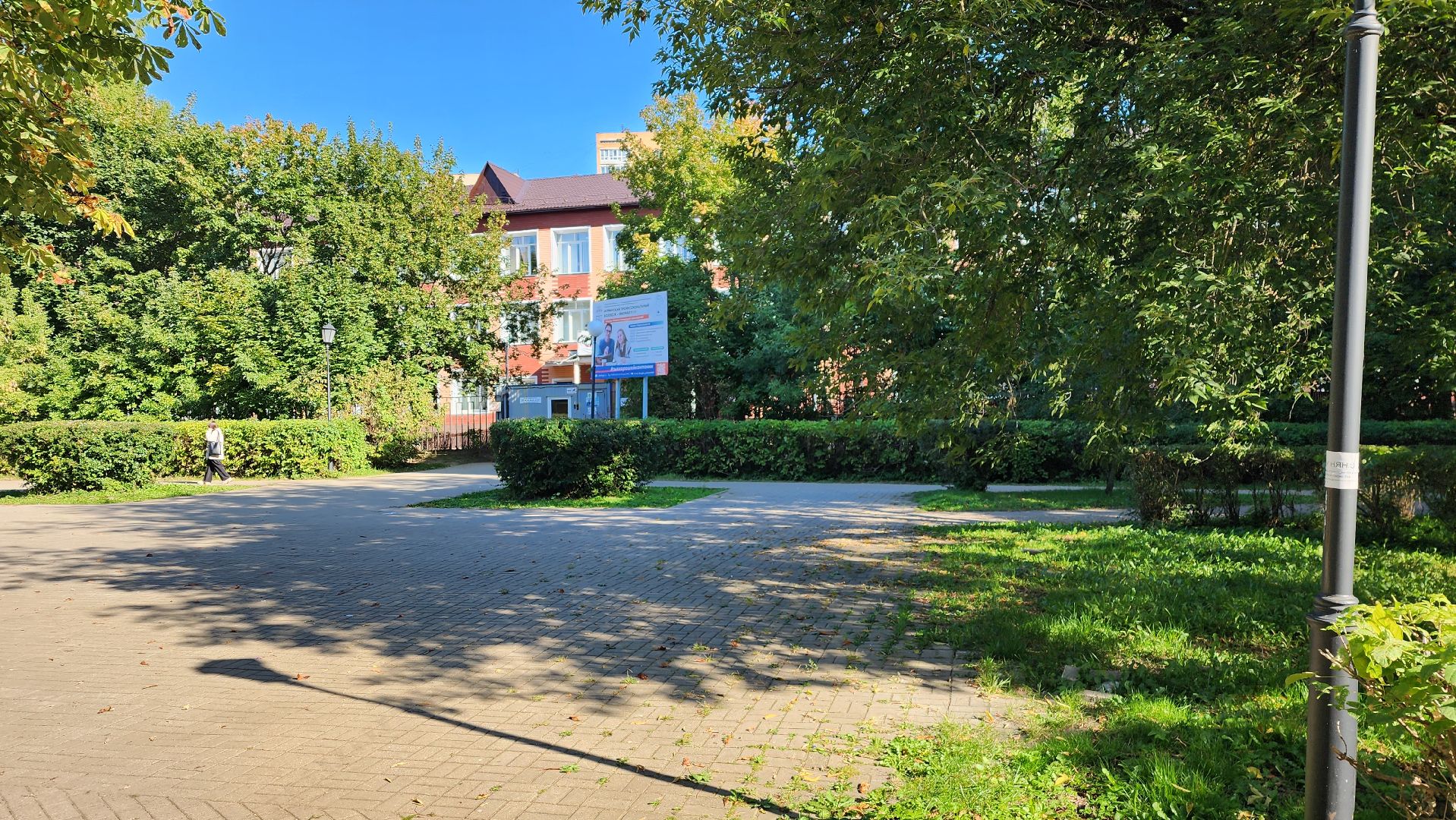 истра, колледж, образование, профессиональное образование,