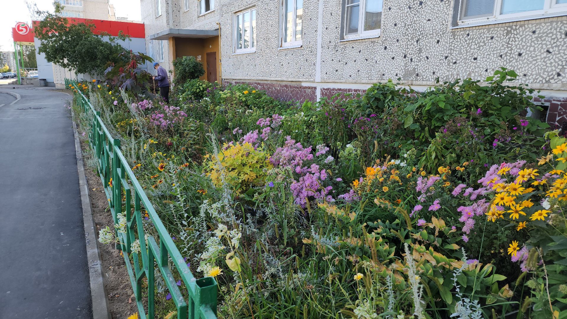 благоустройство дворов, давыдово, орехово-зуевский округ,