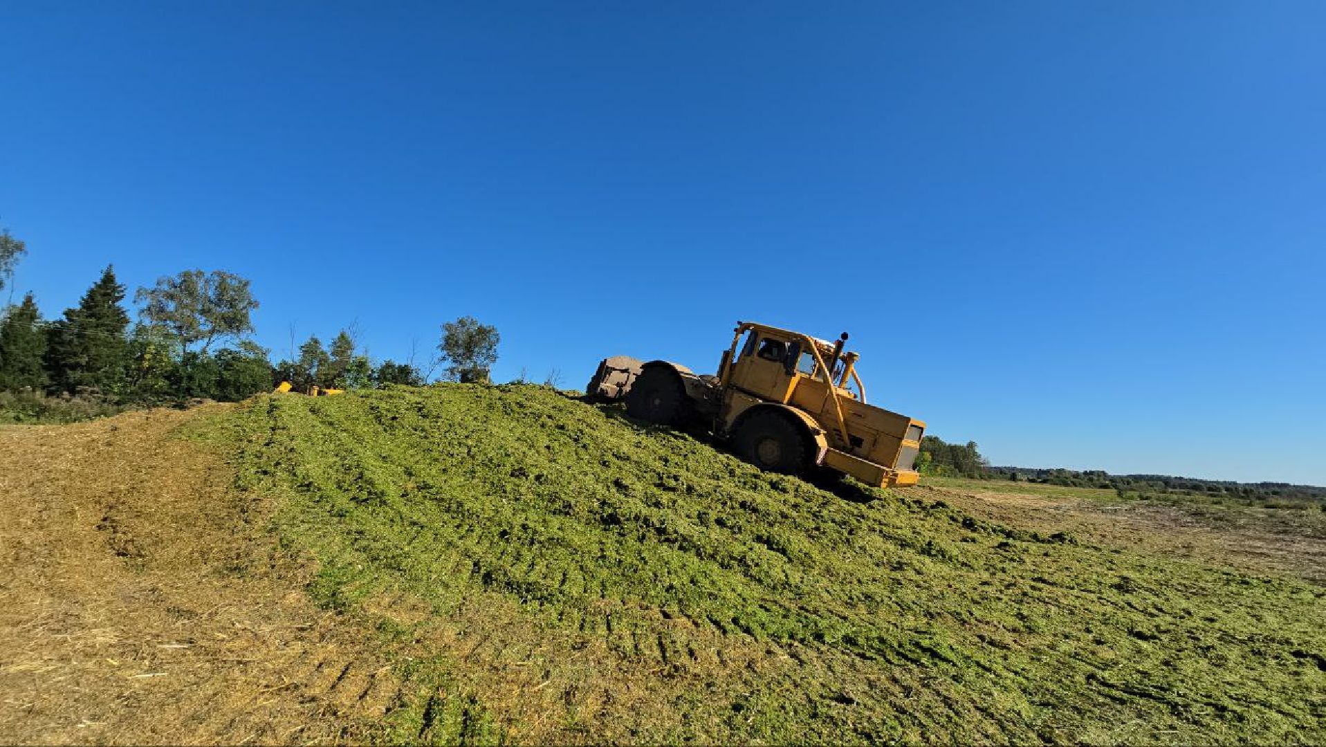 можайск, можайский муниципальный округ, подмосковье, сельское хозяйство, сбор урожая, заготовка кормов, совхоз можайский,