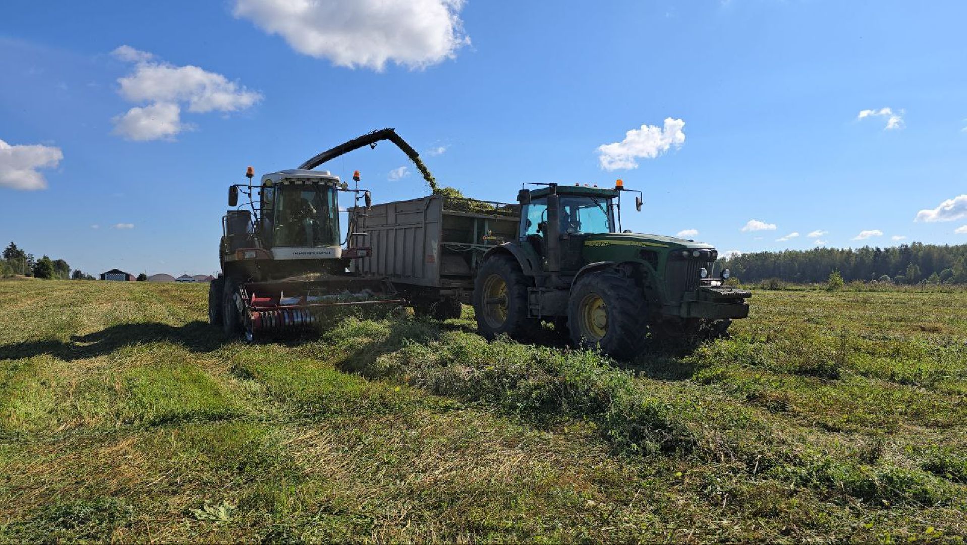 можайск, можайский муниципальный округ, подмосковье, сельское хозяйство, сбор урожая, заготовка кормов, совхоз можайский,