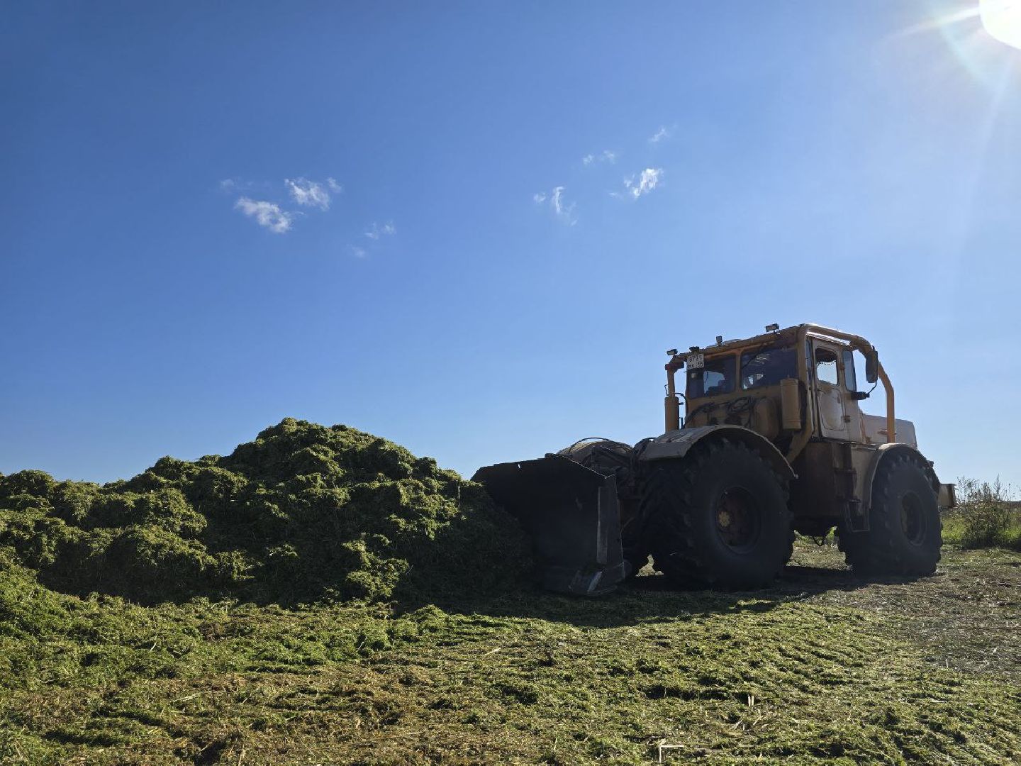 можайск, можайский муниципальный округ, подмосковье, сельское хозяйство, сбор урожая, заготовка кормов, совхоз можайский,