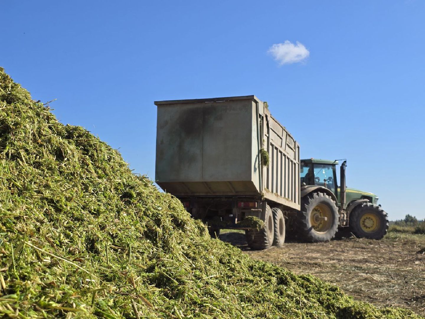 можайск, можайский муниципальный округ, подмосковье, сельское хозяйство, сбор урожая, заготовка кормов, совхоз можайский,