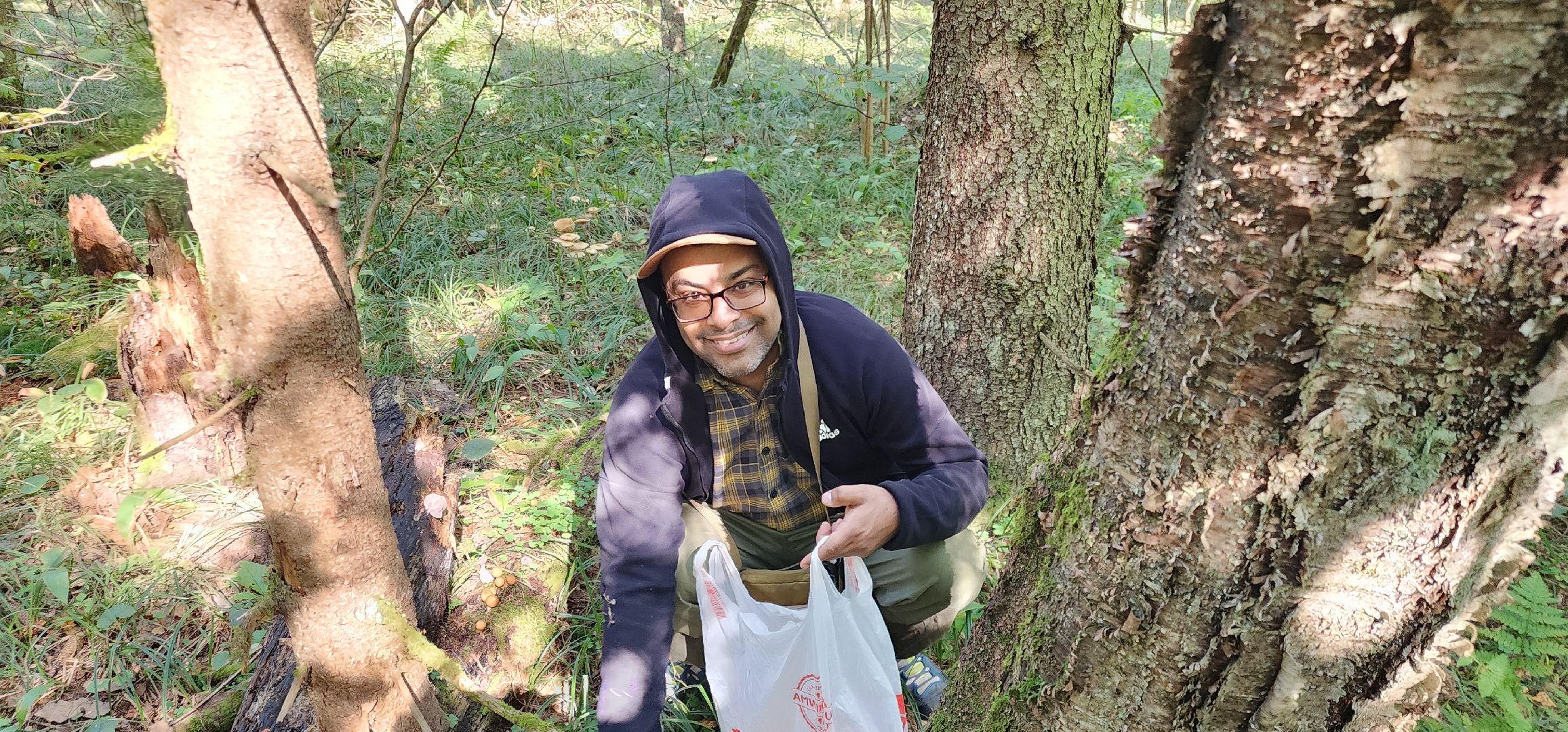 Общество , Грибной сезон, Люди Звенигорода,