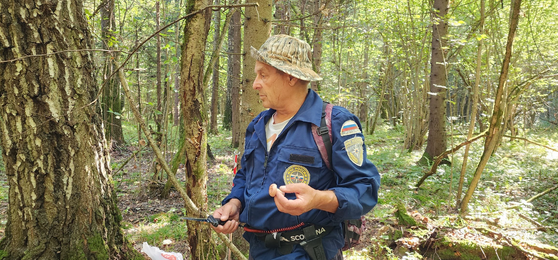 Общество , Грибной сезон, Люди Звенигорода,