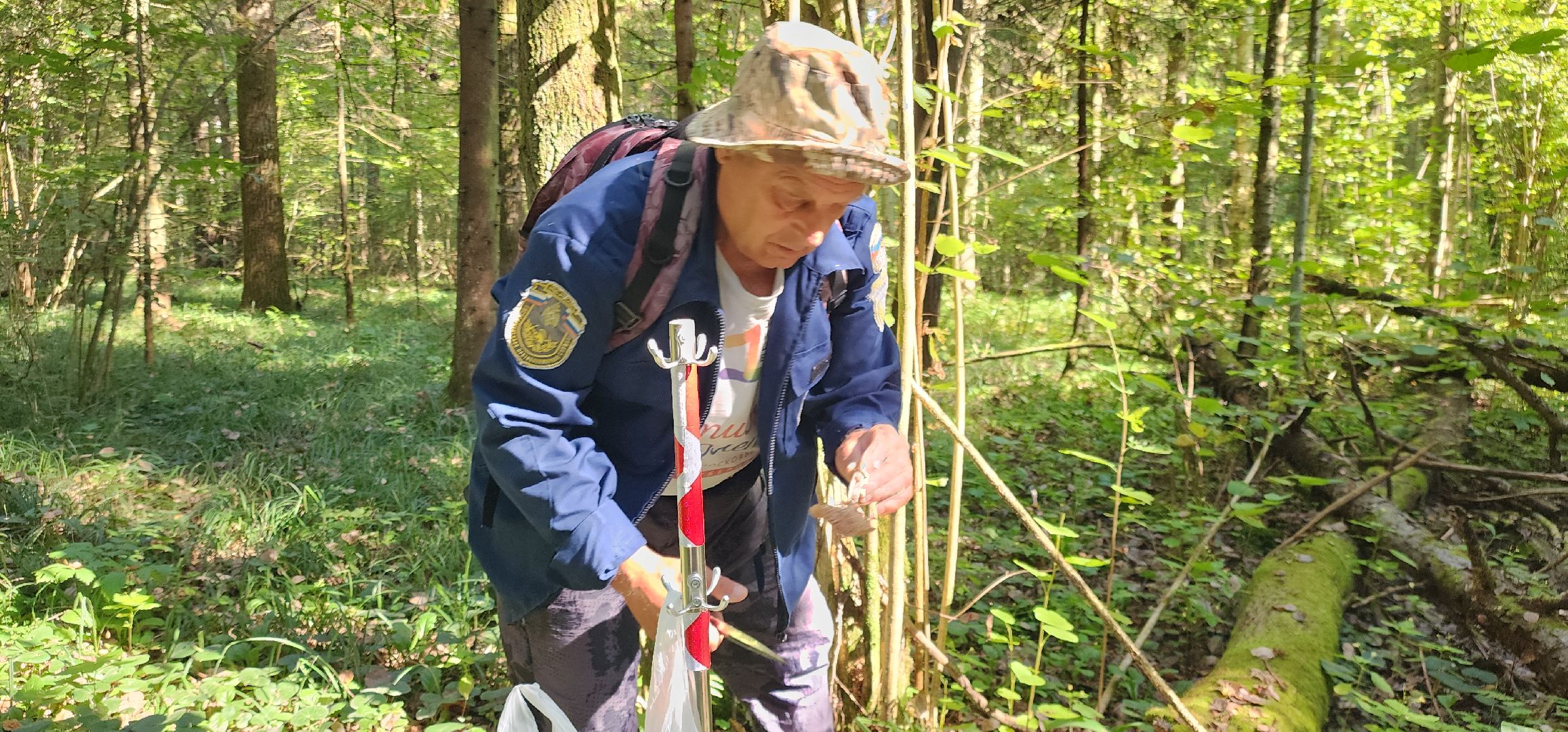 Общество , Грибной сезон, Люди Звенигорода,