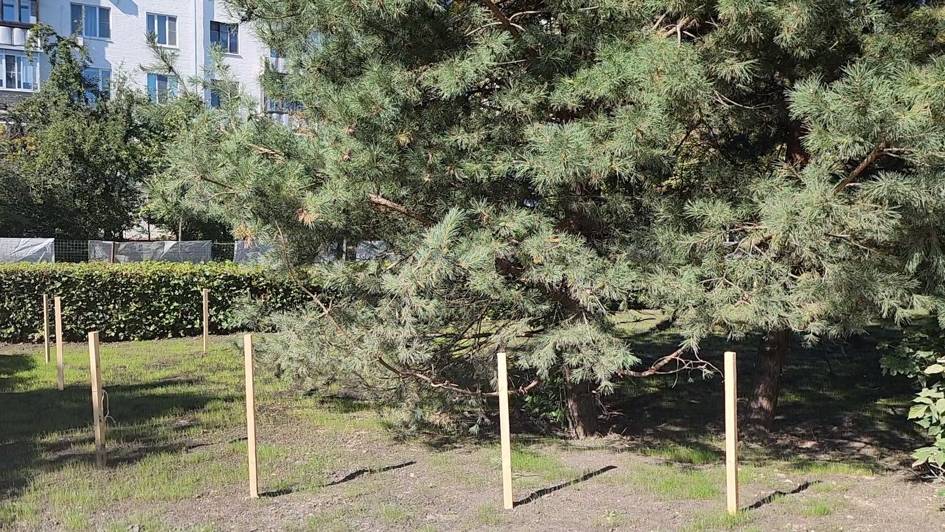 королёв, благоустройство, сквер имени чмырева в королеве,