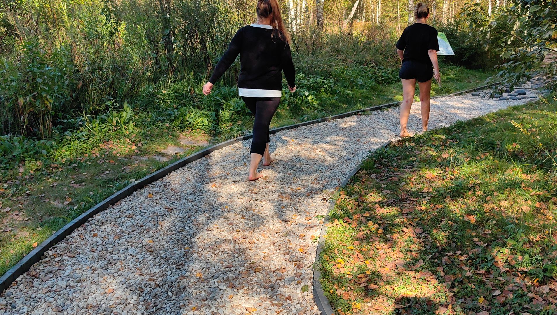 тропа, песок, Дендрарий, лосиный остров, национальный парк,