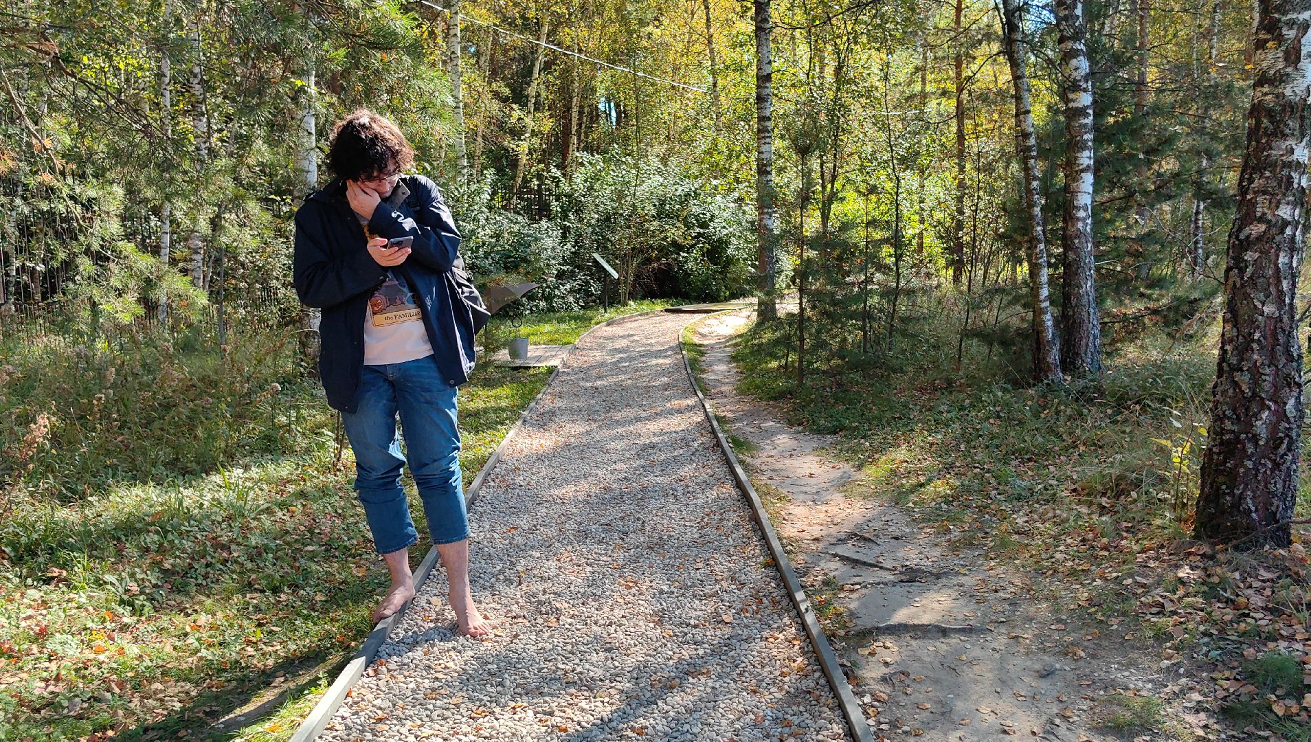 тропа, песок, Дендрарий, лосиный остров, национальный парк,