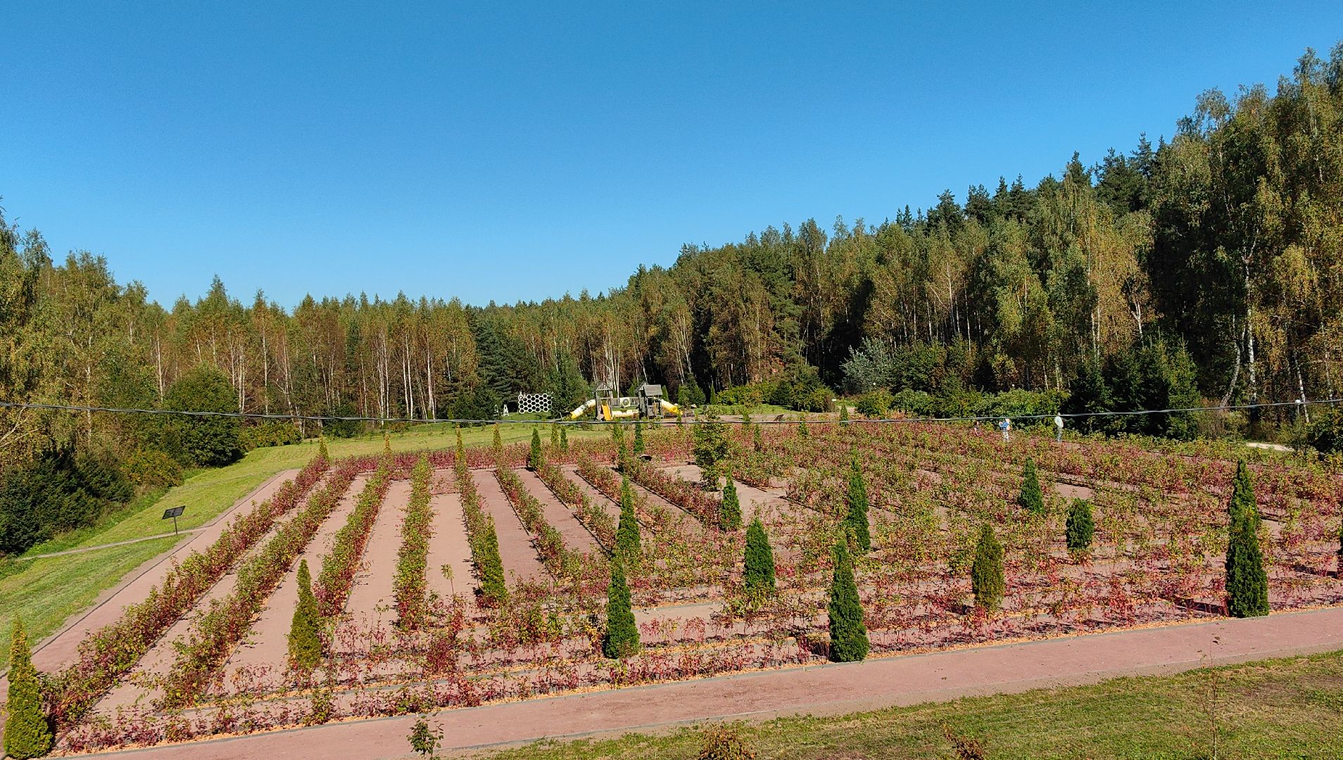 тропа, песок, Дендрарий, лосиный остров, национальный парк,
