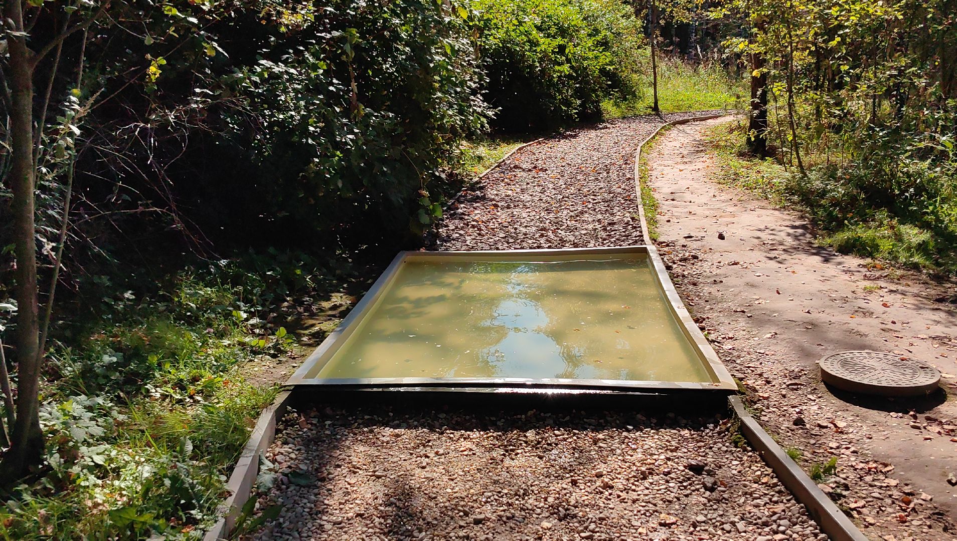 тропа, песок, Дендрарий, лосиный остров, национальный парк,