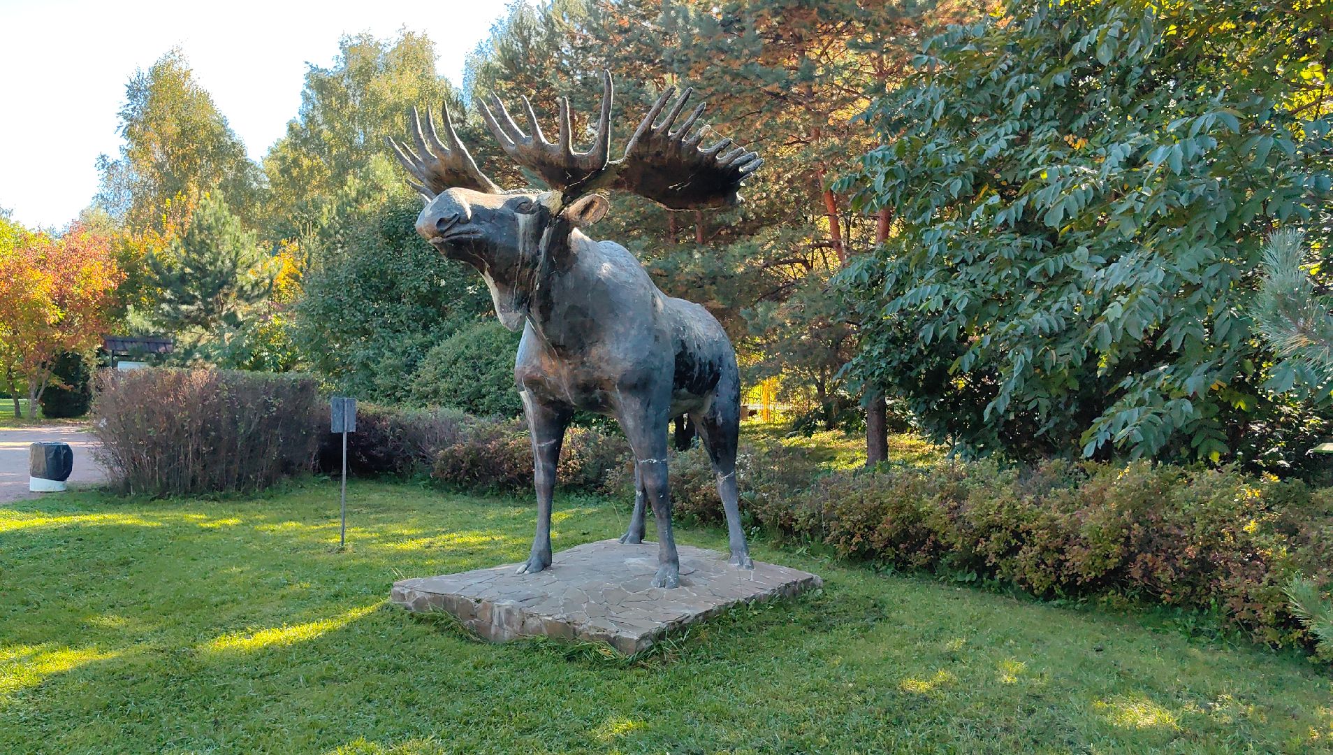 тропа, песок, Дендрарий, лосиный остров, национальный парк,