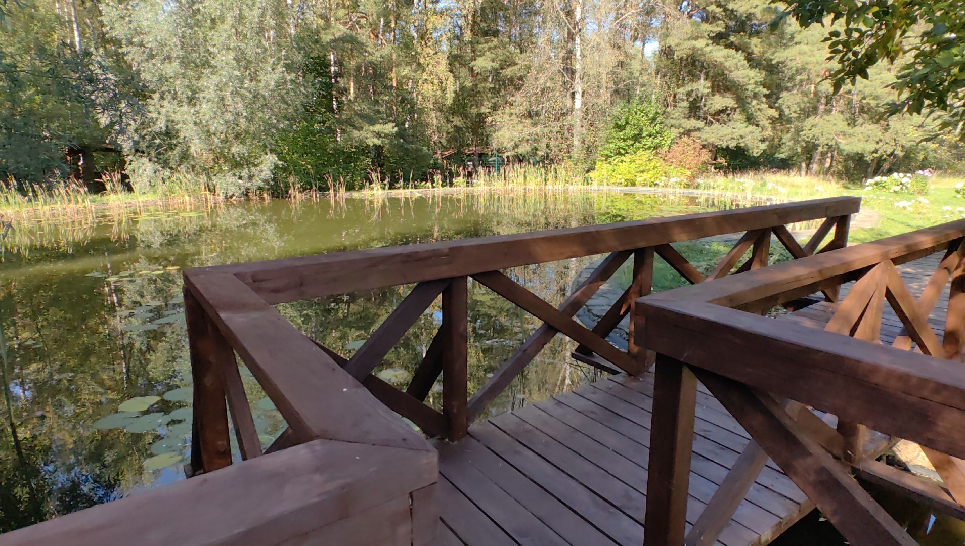 тропа, песок, Дендрарий, лосиный остров, национальный парк,