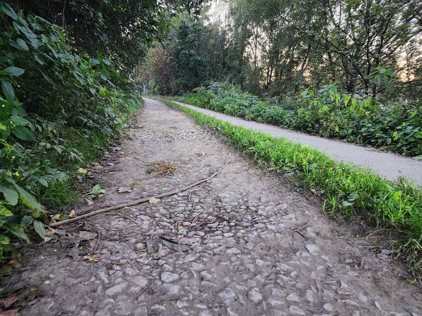 чехов, село молоди, выездная администрация, встреча с жителями, обращения граждан, улица парковая, ремонт дороги, восстановление покрытия, дорожный ремонт, отсыпка щебнем и крошкой, укладка асфальта, многодетная мать, Татьяна Желтова, мбу чеховское благоустройство,заявка на ремонт,