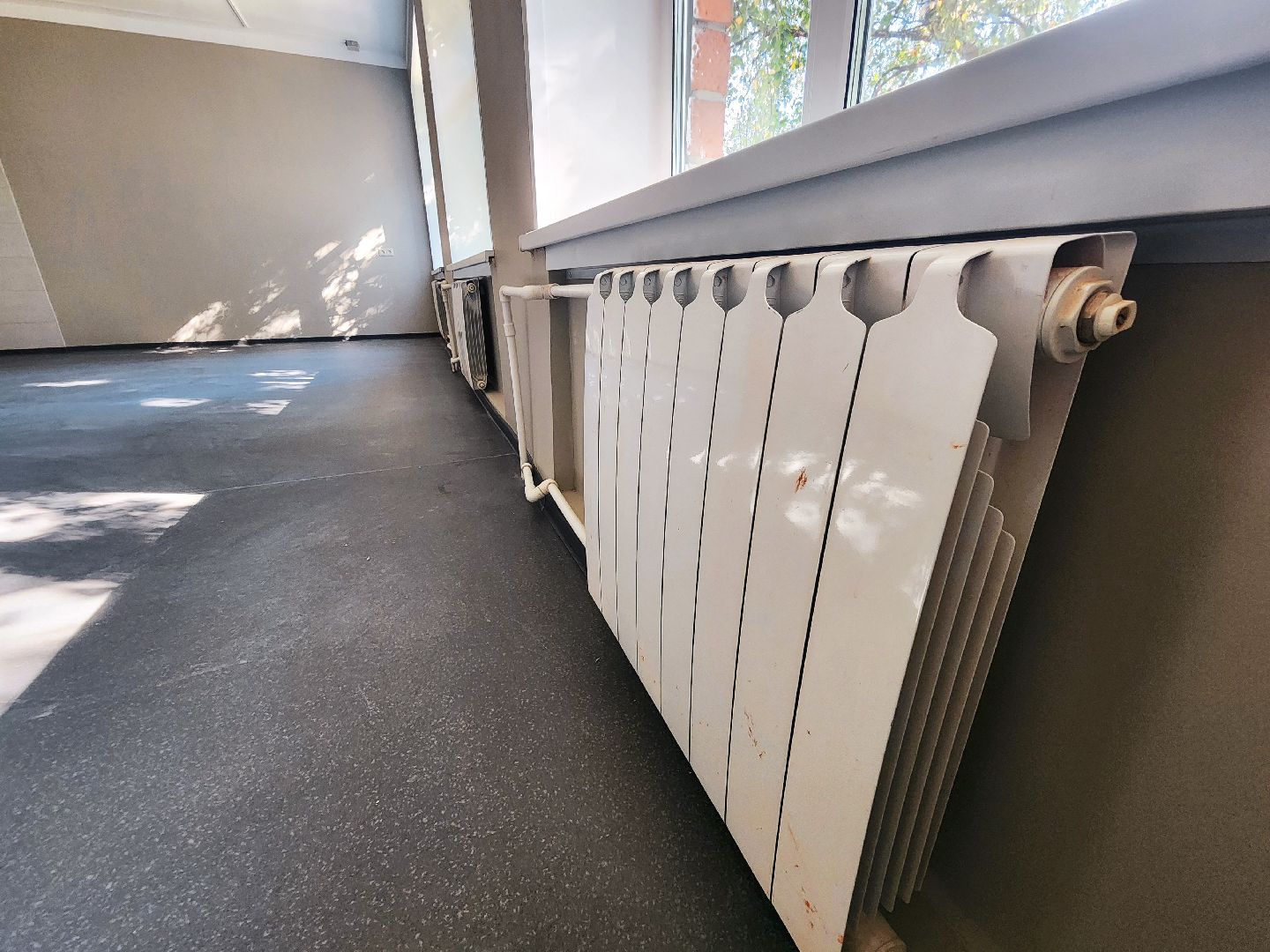 липицы, серпухов, образование мо, школы в серпухове, школа,