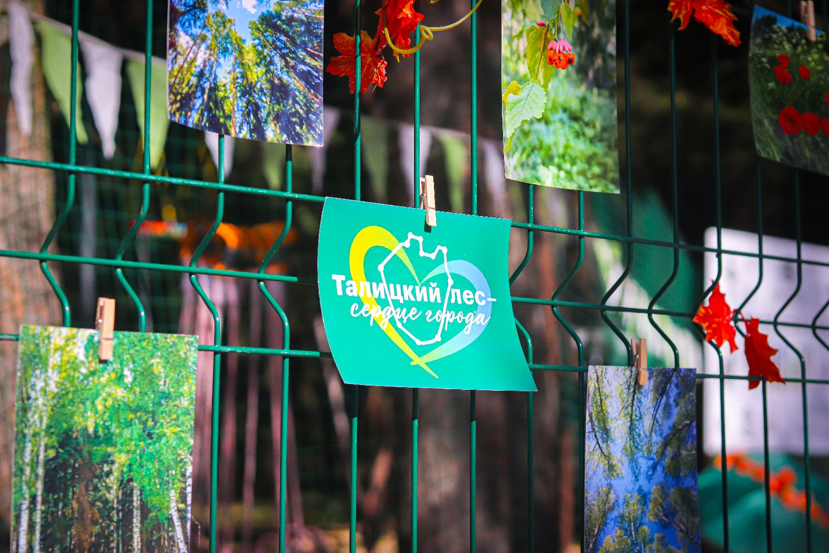 клин, общество, дети, благоустройство, веревочный парк,