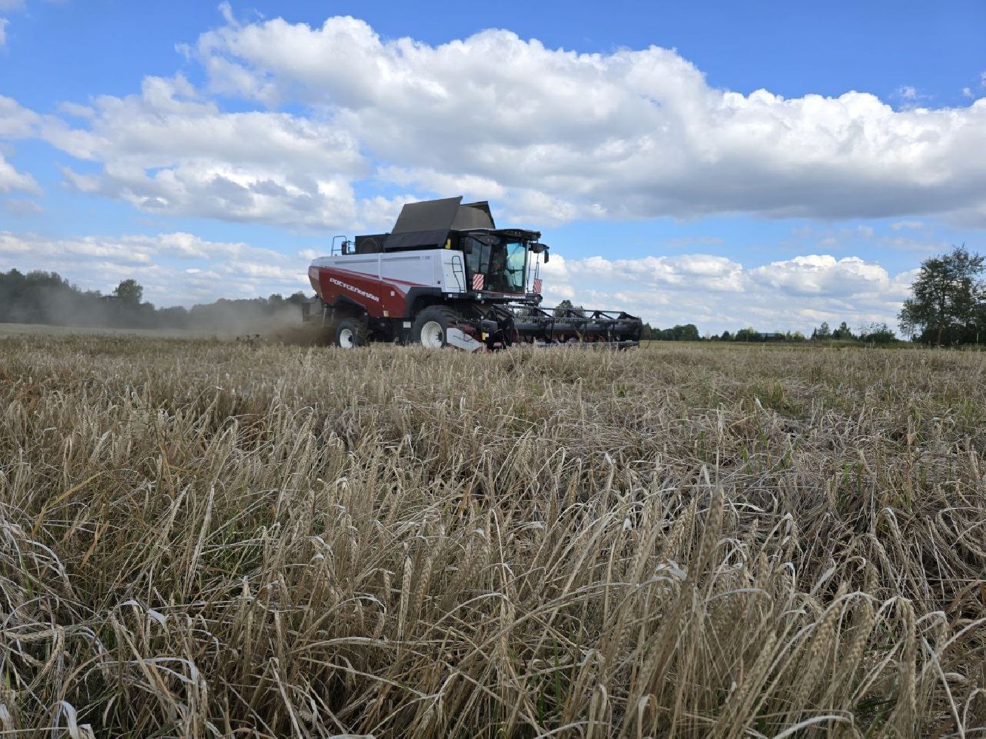 можайск, можайский муниципальный округ, подмосковье, сельское хозяйство, уборочная кампания, сельхозпредприятия, сбору урожая, зерновые культуры, зернобобовые культуры,