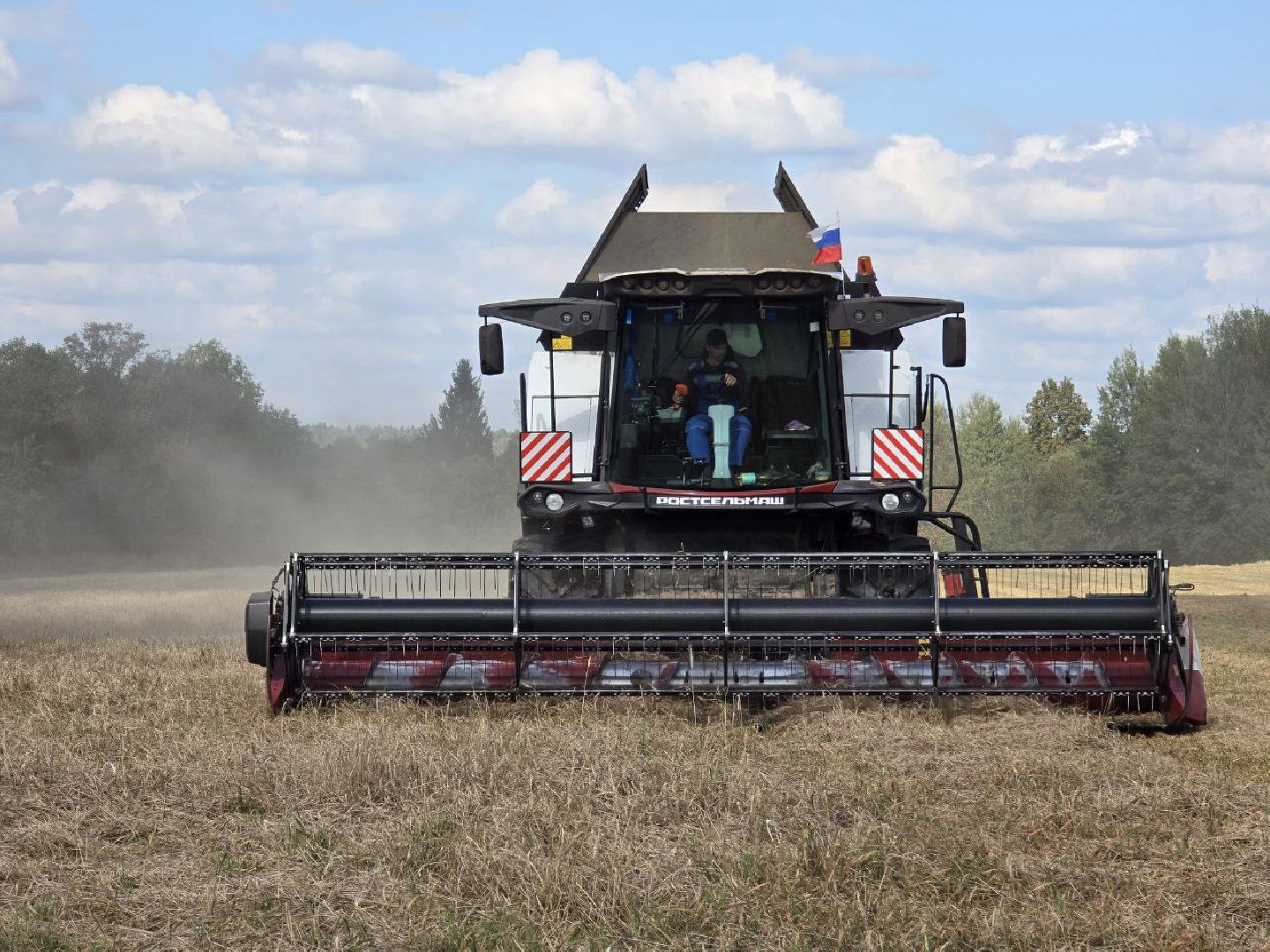 можайск, можайский муниципальный округ, подмосковье, сельское хозяйство, уборочная кампания, сельхозпредприятия, сбору урожая, зерновые культуры, зернобобовые культуры,