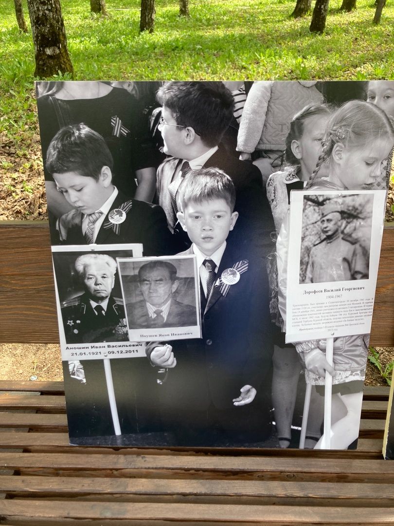 Солнечногорск, бессмертный полк, Победа, фото, коллаж