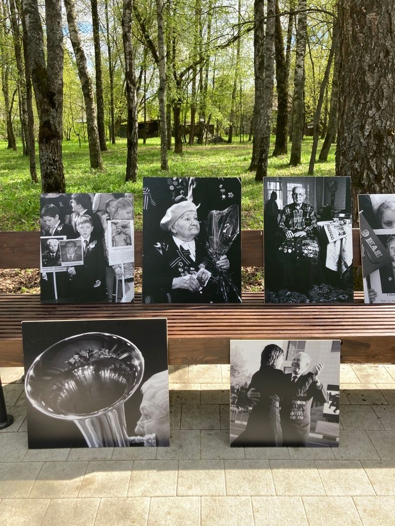 Солнечногорск, бессмертный полк, Победа, фото, коллаж