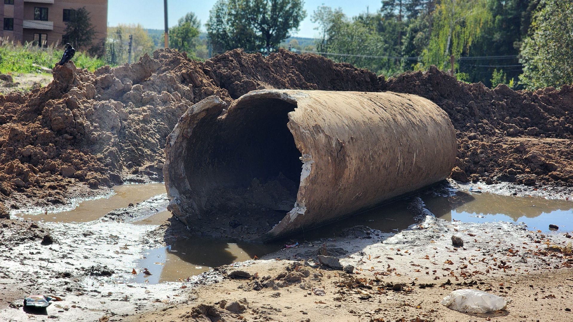 жкх, канализационные сети, госпрограмма московской области, лосино-петровский,