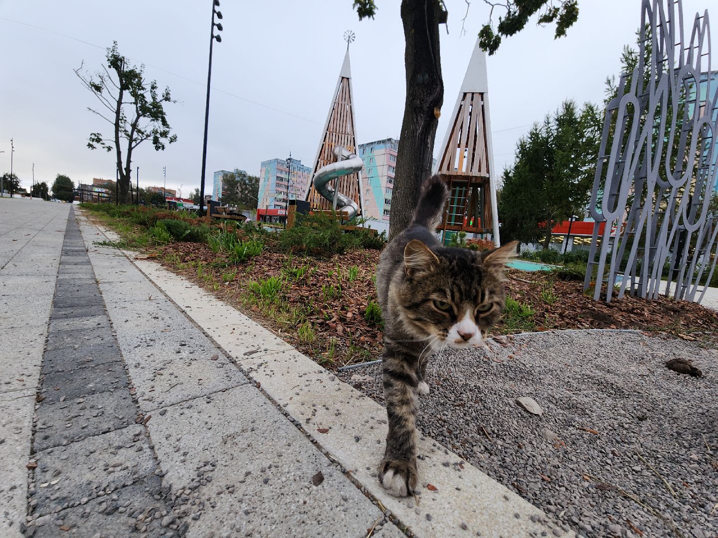 Егорьевск , Подмосковье , Московская область ,