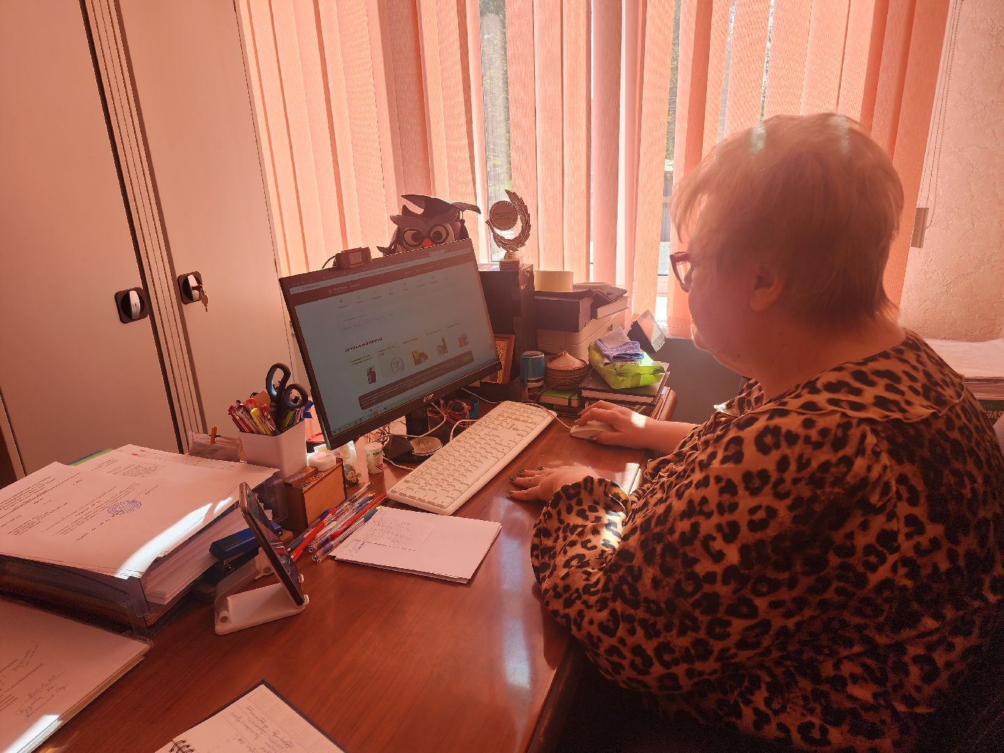 Шатура, Подмосковье, Московская область, выборы, шатура выбирает,