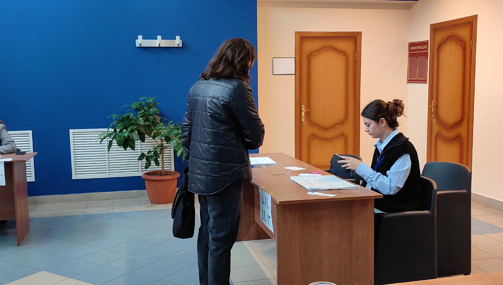 выборы, совет депутатов, уик,